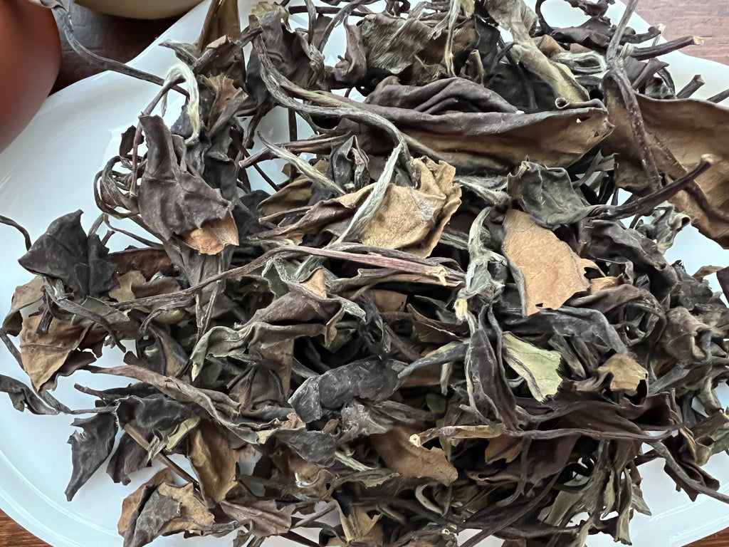 Aged Sun-dried White Tea - Shou Mei (纯日晒老寿眉)