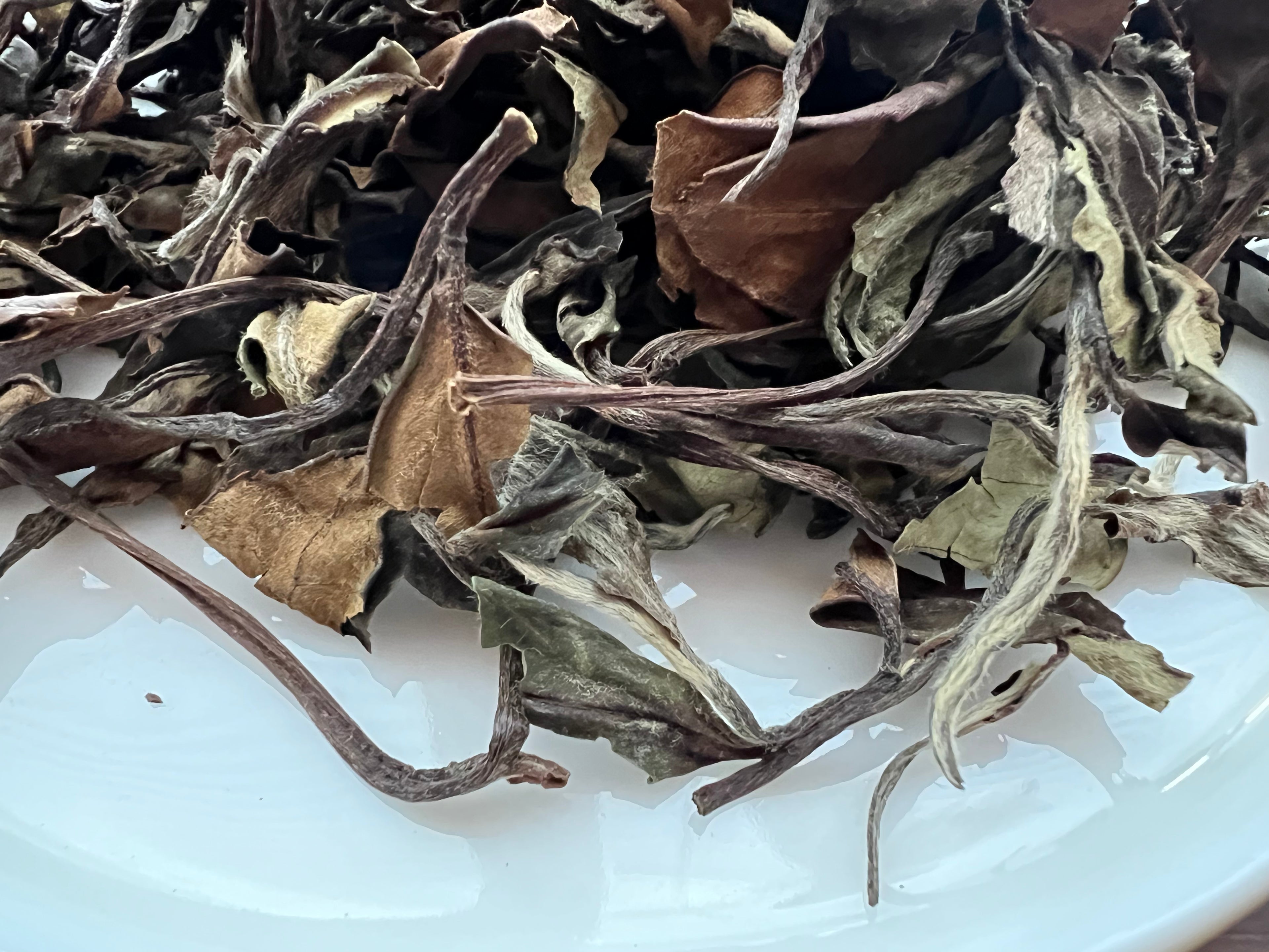 Aged Sun-dried White Tea - Shou Mei (纯日晒老寿眉)