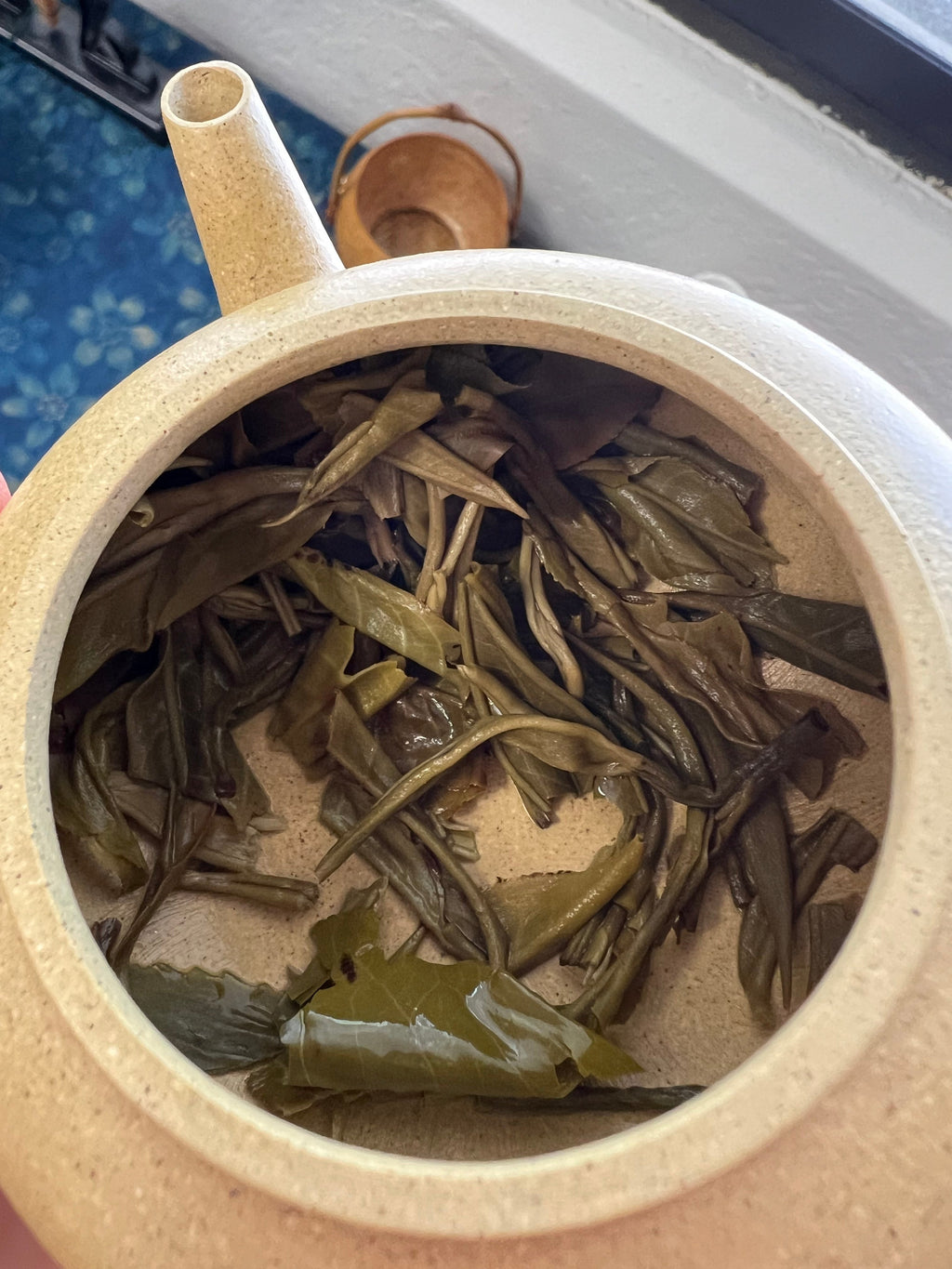 Annual Grace 2026 brewed raw pu-erh tea leaves